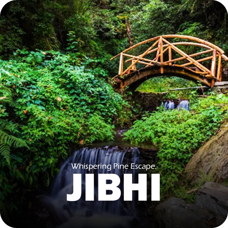 Jibhi tour packages