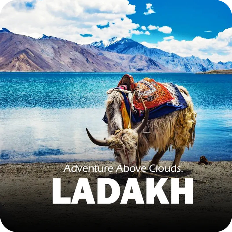 Ladakh tour packages