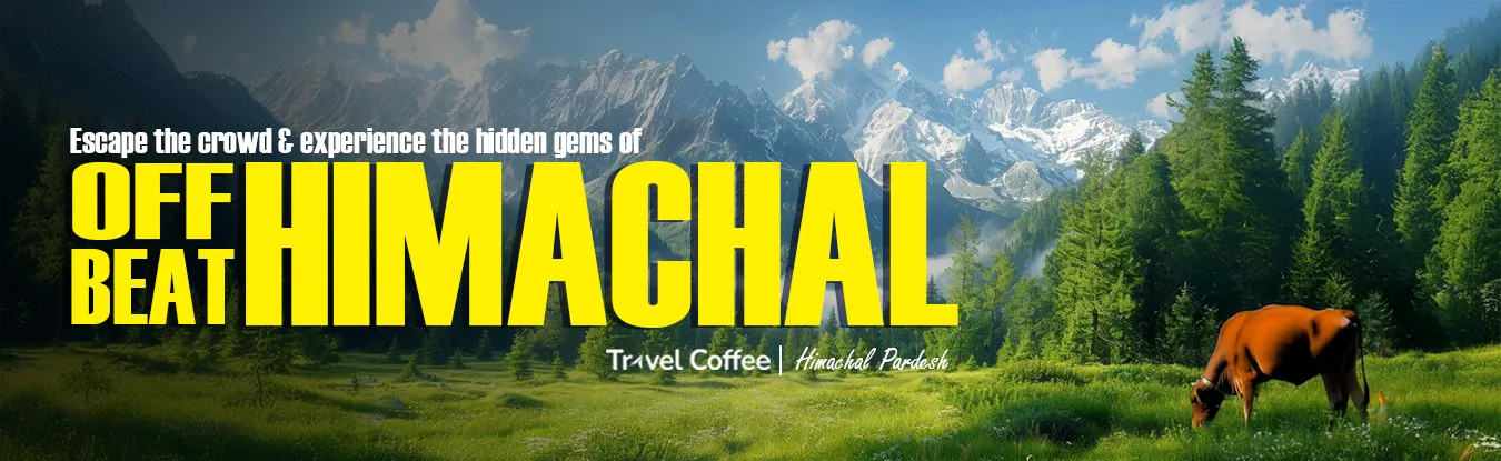 Alpine meadow below snow-capped peaks in Himachal Pradesh