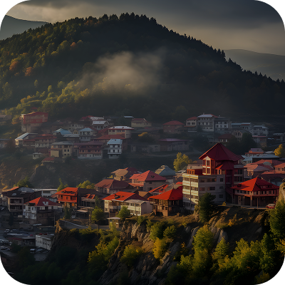 Other Travel Companies